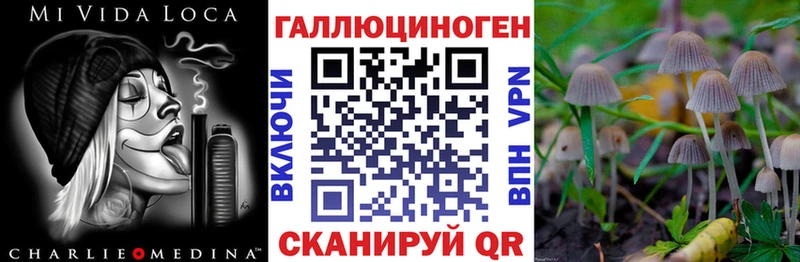Галлюциногенные грибы Psilocybine cubensis  Тихорецк 